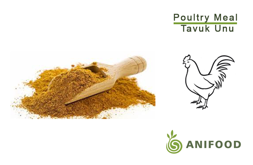 Tavuk Unu / Poultry Meal