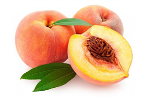 Kayısı Püresi ve Konsantresi / Apricot Puree and Consantrate