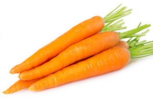 Havuç Konsantresi / Carrot Consantrate